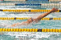 Meder leads the way with seven golds so far at African Swimming Championships